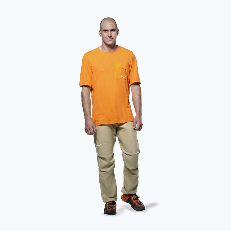 Pánske trekové tričko Salewa Agner Hemp/Dst turmeric 2