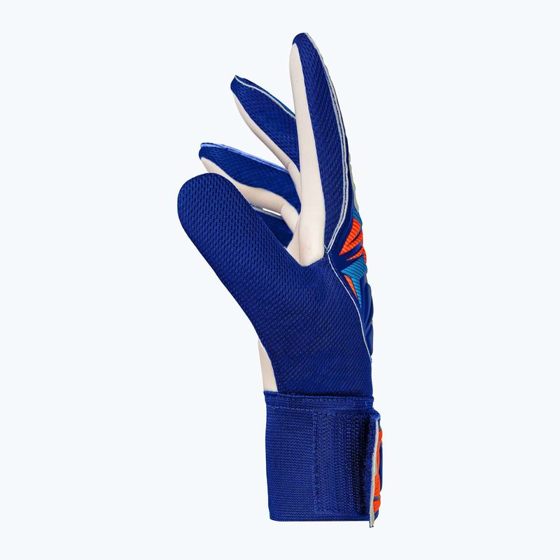 Detské brankárske rukavice Reusch Attrakt Starter Solid Junior sharp blue/white/shocking orange 4