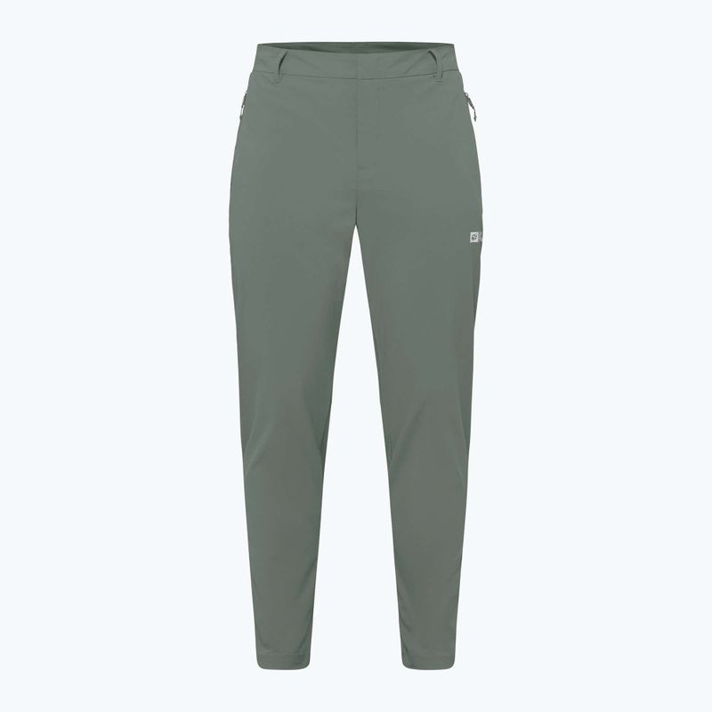 Pánske trekingové nohavice Jack Wolfskin Hikeout slate green 7
