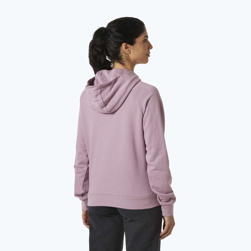 Dámska mikina Helly Hansen Core Graphic Hoodie purple clay 2
