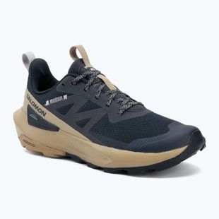 Pánske turistické topánky Salomon Elixir Activ carbon/slate green/glacier