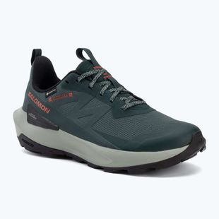 Pánske turistické topánky Salomon Elixir Activ GTX scarab/green gable