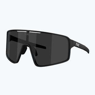 Slnečné okuliare Bliz P001 matte black/smoke
